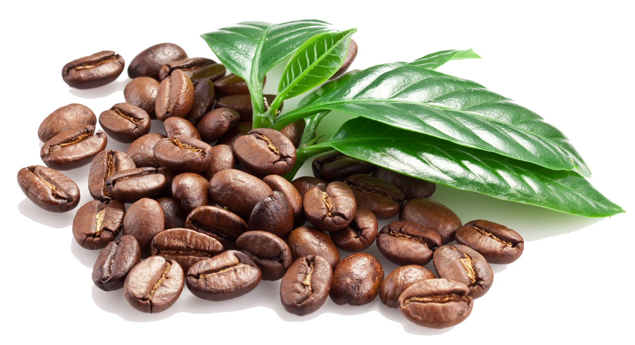 Coffee-Beans-PNG-Image